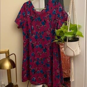 Lane Bryant A-Line floral magenta dress